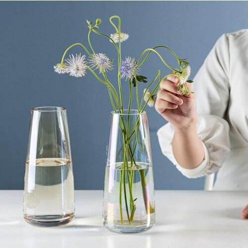 WSHYUFEI European Simple Glass Vase Living Room Flower Ware Hydroponic Plant Bottle Container Desktop Home Decoration Vases
