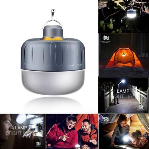 Dishun Portable Flashlights