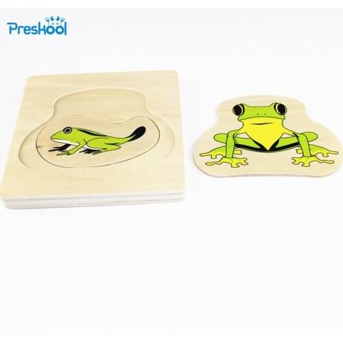 Montessori Kids Baby Toy Infant Toddler Life Cycle of Frog Puzzles Jingsaw Preschool Brinquedos Juguets