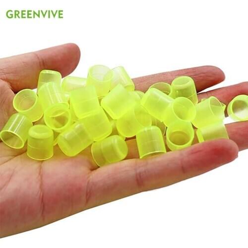 700PCS Bee Queen Rearing Base Mount Cleaner Nicot Cell Cup Plastic Rearing Bees tools Supplies Catcher Apiculture