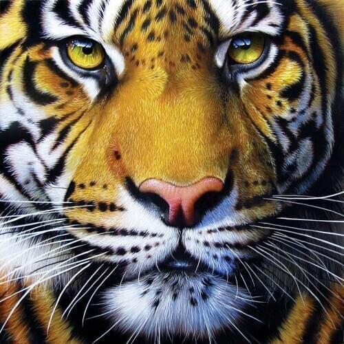 5D Diy Diamond Painting Tiger Kings Face Animal Diamond Embroidery Cross Stitch Needlework Full Drill Home DecorationZP-1268