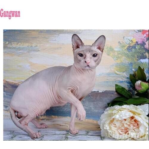 Diamond Painting Mosaic Diamond Embroidery Sphynx Cat flower 3d Picture Of Rhinestones full drill square round icons Home Decor