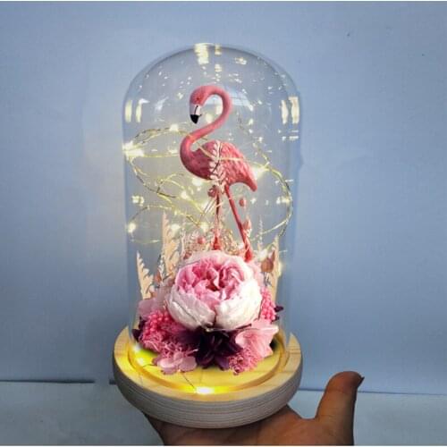 12*22cm Glass Dome Vase Home Decoration Luminous Log Base Transparent Cover Wedding Friend Favor Live Prop