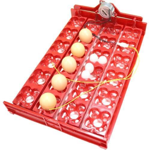 Incubator 96 Eggs Bird Incubator Egg Rack Tray 24 Automatic Egg Incubator 48 Eggs Quail Parrot Incubation Tool Free Shipping