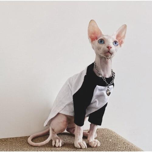 Cat Clothes Sphinx Deven Cat Shirt Casual 100% Cotton Baseball T-shirt Trendy Base Shirt Autumn Summer
