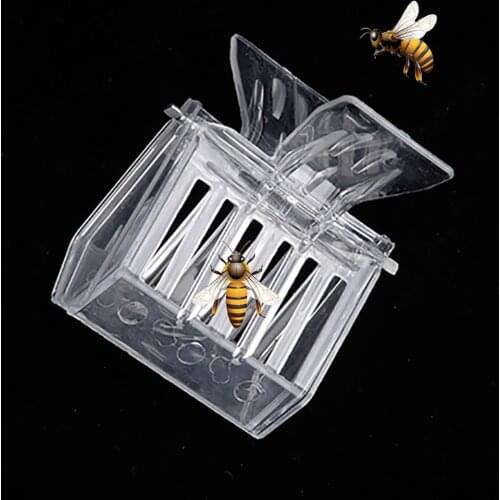 25pcs Beekeeping plastic queen king bee cell cage clip type rearing catcher box king isolation room insectary bees tools cages