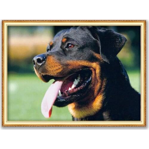 Animal Dog Rottweiler DIY Cross Stitch 11CT Embroidery Kits Craft Needlework Set Printed Canvas Cotton Thread Home Decoration