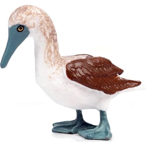 Sula nebouxii Animal Figure Collectible Toys Birds Animal Cognition Action Figures Kids Plastic Cement Toys