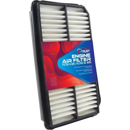 Bi-Trust Engine Air Filter Replacement for 2002-2004 Honda Odyssey 3.5L V6 17220-P8F-A10