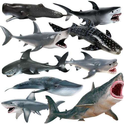 12PCS Simulation Marine Life Animal Model Toy Giant Tooth Shark Killer Whale Blue Whale Animal Shark Model Educational Toy Boys
