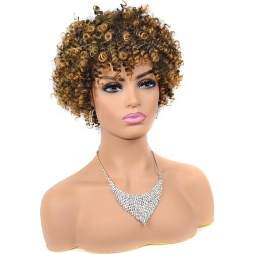 ZM Short Synthetic Wigs For Women Machine Made Wig 6 Colors Heat Resistant Kinky Loose Curly Wig Easy to Wash and Restyle
