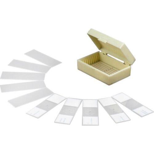 AmScope 10 Prepared & Blank Microscope Glass Slides PB10