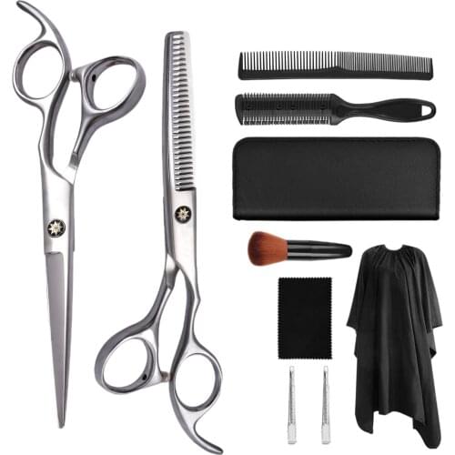 6 Inch Matte Japanese Stainless Steel Salon Thinning Cutting Barber Hair Scissors Set