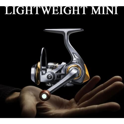 Fishing Spinning Reel Saltwater Fishing Reel Carp Fishing Reels 500 5.2:1 13BB Rock Fishing Reel Spinning Reels Whee 2020