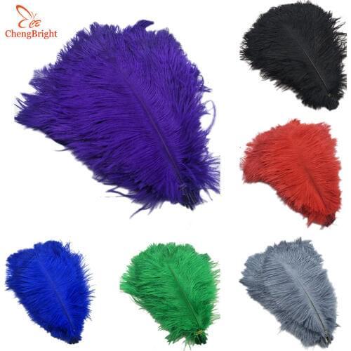 CHENGBRIGHT Hard Rod 10Pcs/Lot Natural Ostrich Feathers For Crafts 25-30CM Carnival Costumes Home Wedding Decorations Plumes
