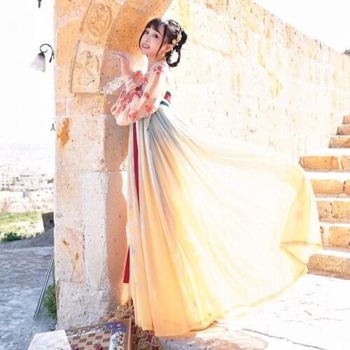 New Female Hanfu Clothes Chinese Style Women Classical Dance Costume Tang Dynasty Ancient Elegant Hanfu Stage Clothing DQL5750