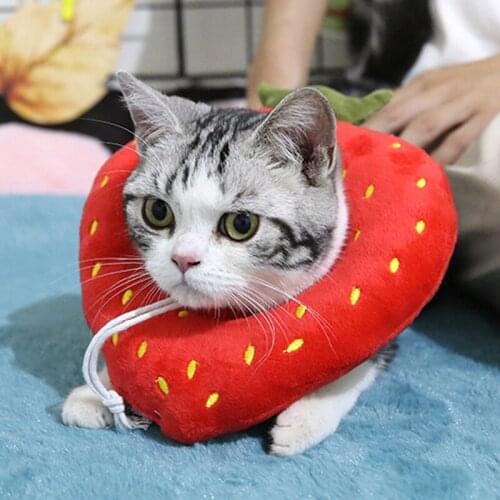 Pet Protective Collar Dog Neck Cone Recovery Cone Collar For Anti-Bite Lick Surgery Wound Healing Cat Dogs Health Circle Collar