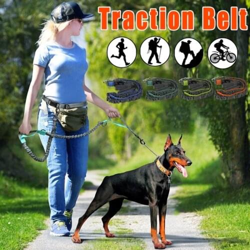 Dog Retractable Traction Leash Reflective Elasticity Running Training Free Hands Dog Collar Jogging Leash Metal Pets Acessorios
