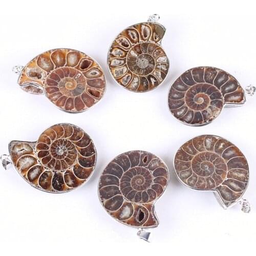 Natural Ammonite Fossils Pendant Jewelry Silver Tone Ammonite Fossils Stone Wrapped Pendant Necklace Fashion Jewelry