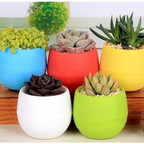 Home Garden Plastic Mini Succulent Planter Flower Pot Water Saving And Drought Resistance Herb Pot LX8270