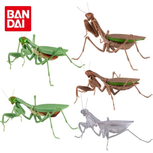 Bandai Genuine Gashapon Mantis Gacha Series Simulation Giant Joints Movable Insect Ornaments Anime Action Figure Model Toys
