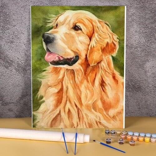 Animal Golden Retriever DIY Paint By Numbers Complete Kit Oil Paints 40*50 Canvas Pictures Home Decoration Crafts For Art