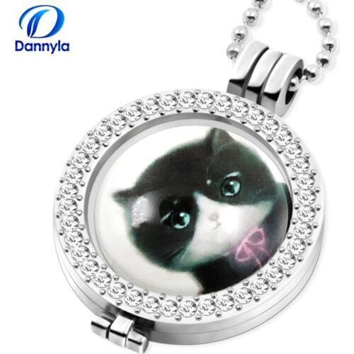 1pc/lot 33mm My Moneda Coin Fit 35mm Glass Cat Coin Frame Necklace Pendant MICP83-88