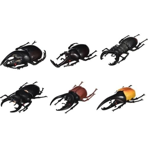 6pcs/set Simulation Solid Static Insect Model Ornaments Realistic Beetle Toy
