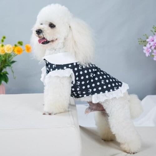 Cat Clothes Princess Lace Princess Cat Dress Puppy Dog Cat Skirt Cute Polka Dot Teddy Pet Costume Puppy Clothes