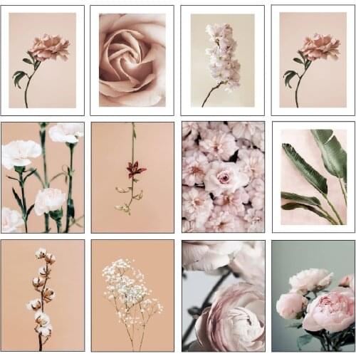 Peony Rose Flower Wall Art Canvas Painting Nordic Plants and Flowers Posters Pink Wall Print Pictures for Living Room Decor