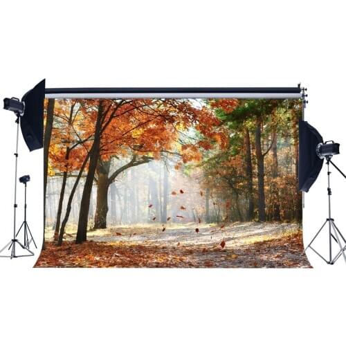 Photography Backdrop Autumn Rustic Jungle Forest Trees Golden Leaves Dirt Road Sunshine Background