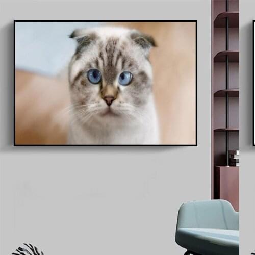 New Arrival Custom Scottish Fold Cat Poster Home Decoration Fashion Canvas Fabric Wall Poster 27X40cm30X45cm