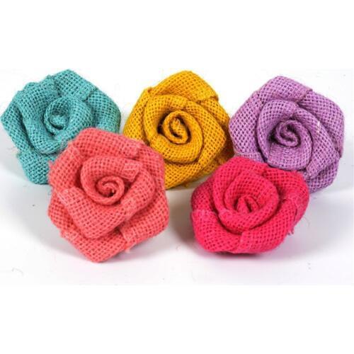 AOTICACCESSO Home And Garden Products