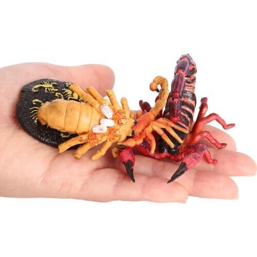 Red Insect Scorpion Lore Life Cycle - 4 Pcs Insect Figure Shows Life Eggs Hatch Baby Scorpion Adulthood Scorpion