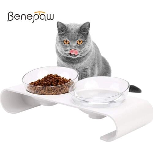 Benepaw 15° Tilted Raised Food Water Cat Bowl With Stand Splash-proof Anti-skid Removable Double Small Dog Kitten Dishes Feeder