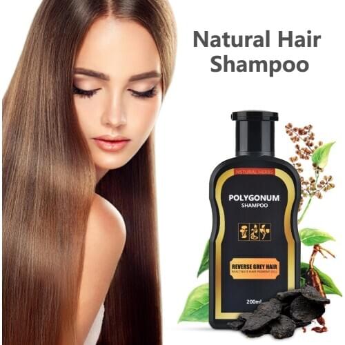 200ML Natural Polygonum Hair Shampoo Moisturizing Ginger Anti Hair Loss Shampoo Products Hair Color Shampoo Prevent Grey Hair