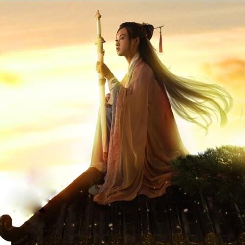 WYJN Ji Jun Thematic Photography Female Costume Hanfu for Tang Sword Lady Drama Hanfu Cosplay Womens Costume