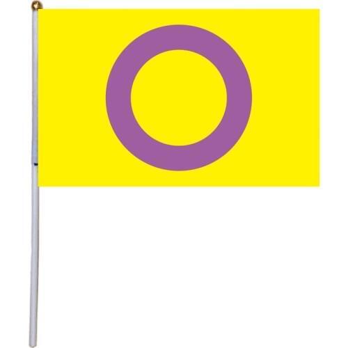 Free shipping xvggdg 50pcs 14 * 21cm Intersex Pride Fabric Flags 14*21CM with Plastic Hand Held
