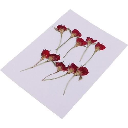 10 Pieces Natural Dried Pressed Flowers Decor Keychain Rings