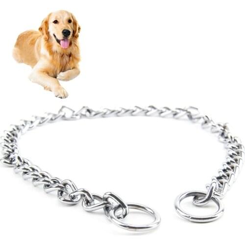 Pet Collar Bite-resistant Creative Dog Collar Dog Training Chain Cat Collar for Pet Pet Accessory