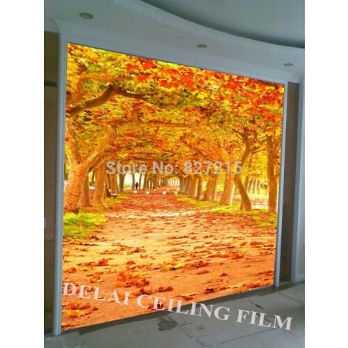 T-119 Yellow leaves mural wallpapers Australian maples falling wall mural for tv sofa background wall decoration