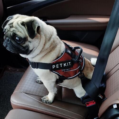PETKIT Dog Harness