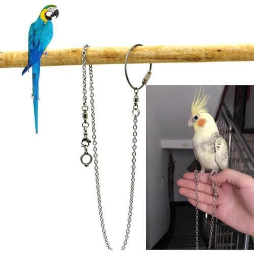 Bird Foot Stand Chain Creative Stainless Steel Parrot Foot Chain Bird Supplies Birds Foot Stand Chain Pet Supplies for Parrots