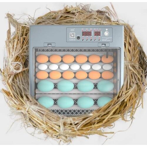 220V Eggs Incubator Brooder Chick Duck Hatcher Automatic Incubator Poultry Hatcher Turner Incubation Tool