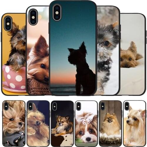 Yorkshire terrier dog black Silicone Phone Case For iPhone 12 XR XS Max 5 5S SE 2020 6 6S 7 8 PLUS X 11Pro Max 11 Cover