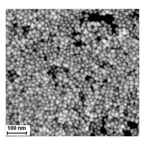 Oily Au nanoparticles 80nm
