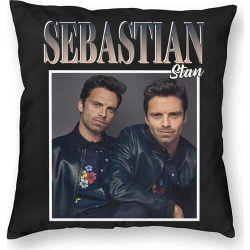 Sebastian Stan Cushion Cover 40x40cm Home Decor Print Throw Pillow for Living Room Two Side