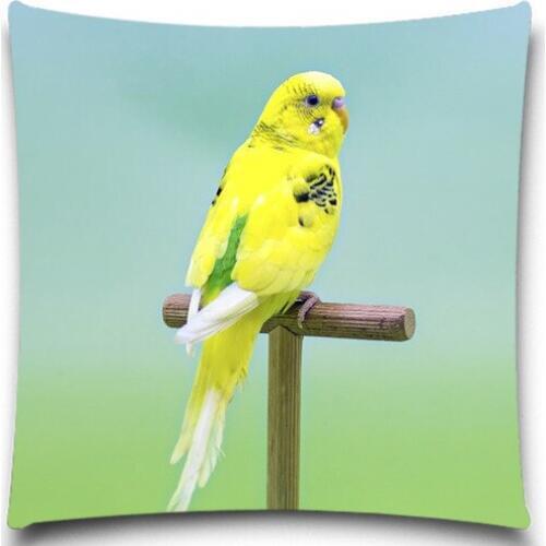 Square pillow Case 5 size 9 style Top 2016 2D printed 100% Cotton Car chair Decorative Throw pillows Covers for Sofa