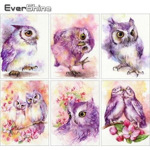 EverShine Diamond Mosaic Owl Rhinestones Art 5D Full Square Diamond Painting Cartoon ANimals Cross Stitch Decroation For Home
