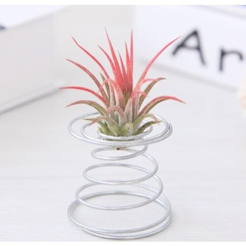 Air Plant Spring Wire Tabletop Tillandsia Holder Miniature Gardening Decorations Drop Shipping